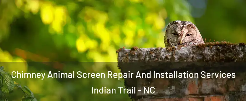  Chimney Animal Screen Repair And Installation Services Indian Trail - NC