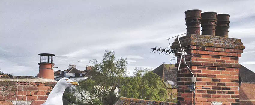 Chimney Cleaning And Restoration in Indian Trail, North Carolina