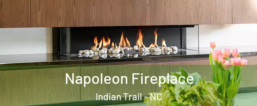  Napoleon Fireplace Indian Trail - NC
